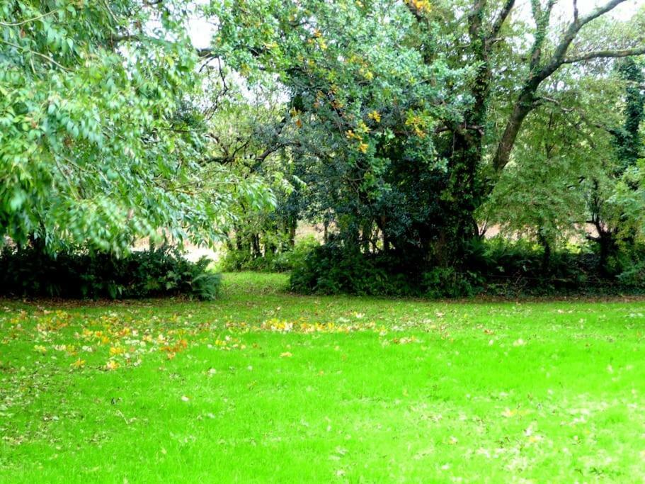 Apartamento Croft Flat Kilgetty Exterior foto